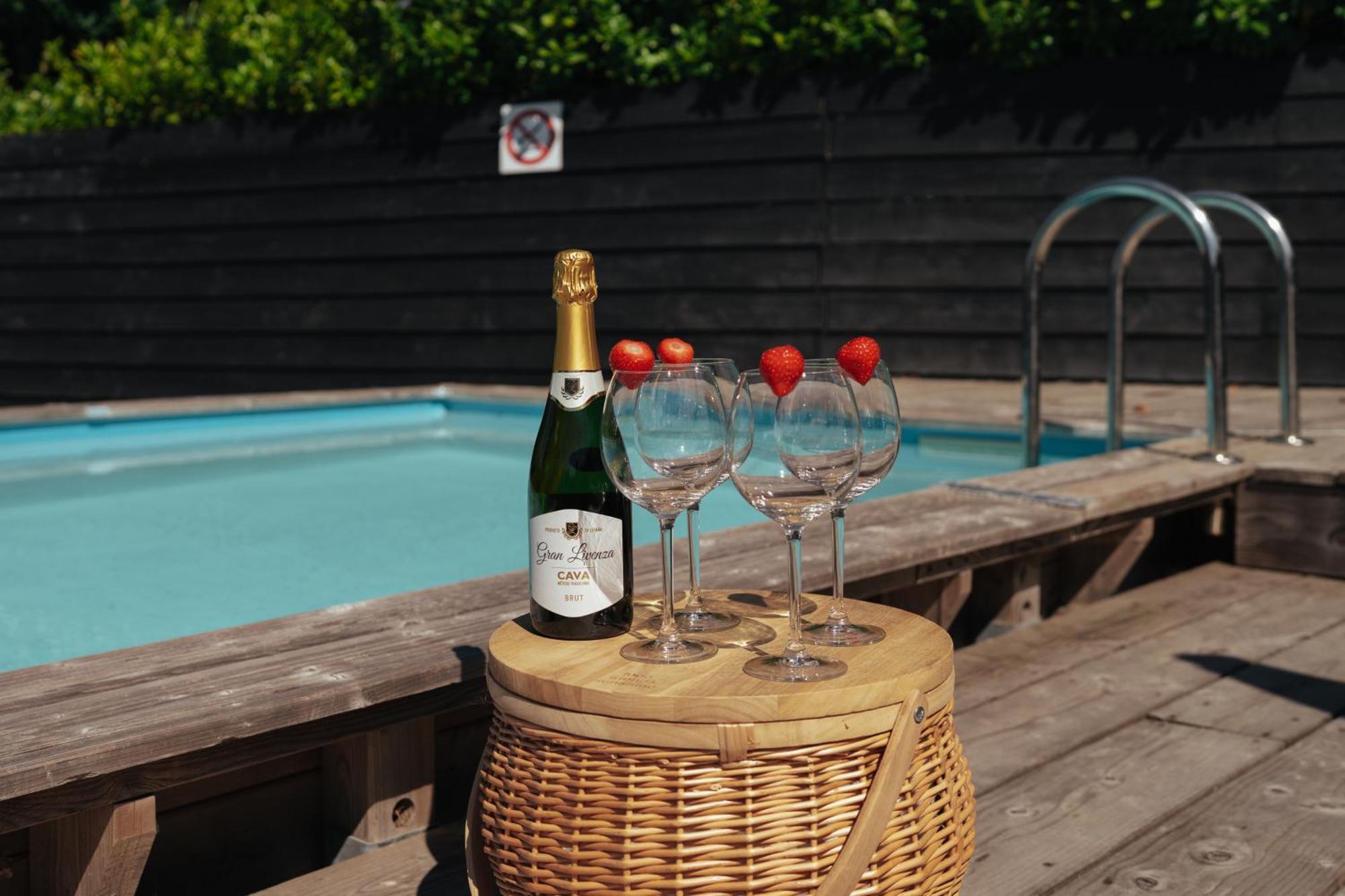 Luxe Vakantiehuis Nova Met Zwembad Ouddorp Extérieur photo